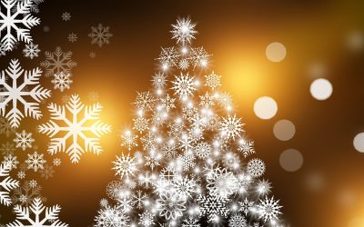 Kerstvakantie 2023-2024